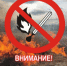 Об установлении на территории Большеболдинского муниципального округа особого противопожарного режима - Большеболдинский муниципальный округ